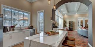 Latitude 31 Gallery 13