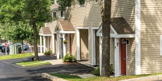 Katahdin Woods Gallery 11