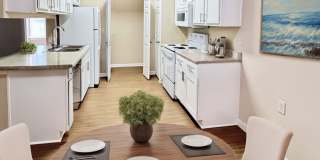 The Mandell Gallery 19