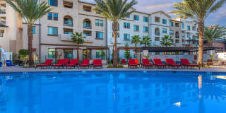 Vineyards Gallery 19