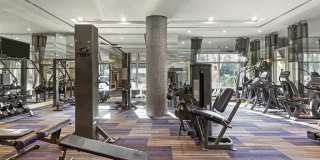 Bell Sunrise Bell Sunrise Gallery 21