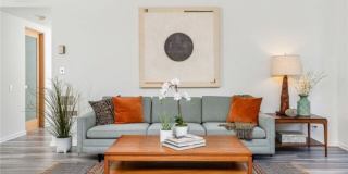 1015 N Kings Rd unit: 301 Gallery 1