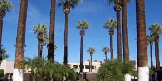 882 Village Sq Gallery 9