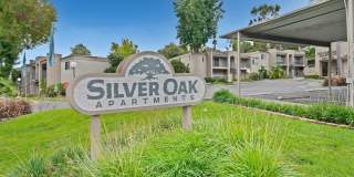 Silver Oak Gallery 27