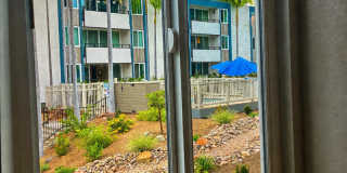 Los Arboles Apartments Gallery 11