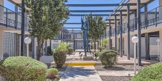 Rise Biltmore Gallery 65