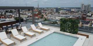 The Carson Gallery 65