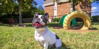 Collins Crossing Gallery 13