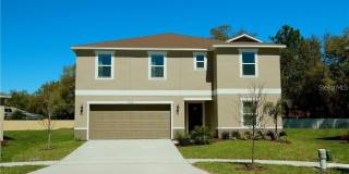 957 EMERALD GREEN Gallery 1