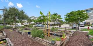 Axis Wellington Green Gallery 36