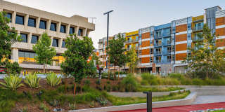 Citrus Commons Gallery 55