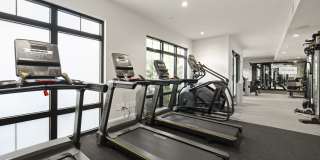 Indigo Stuart Gallery 26