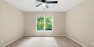 Smyrna Gem! Gallery 33