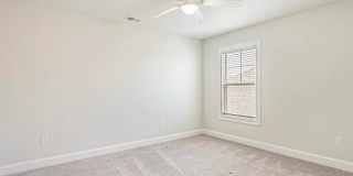 2664 Stellar Loop Gallery 9