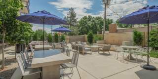 The Wellshire Gallery 8