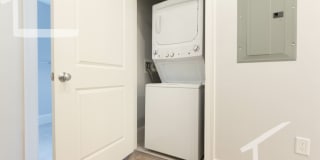 Fantastic, Newly renovated 4-bd/2 ba with Laundry Gallery 4