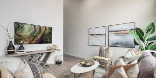 Banner Hill Gallery 20