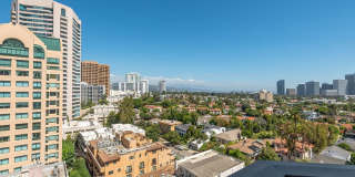10550 Wilshire Blvd unit: 1204 Gallery 31