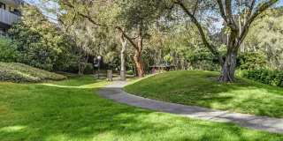 Shelter Creek Condo 1/1 available now Gallery 8