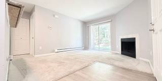Saybrook Condo! 1 Bed/1 Bath with In-Unit Washer & Dryer & Covered Patio! Gallery 15