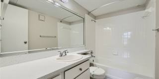 Rise Spring Pointe Gallery 116