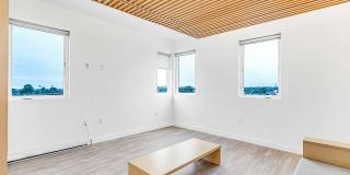 The Rinrose Gallery 41