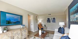 Ivy at West Hills Gallery 1