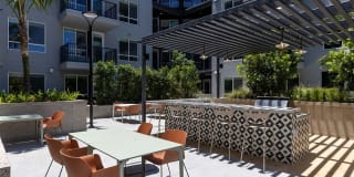 Ruby at the Society Gallery 14