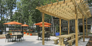 The Avenue Apartments Gallery 3