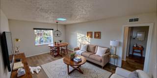 2928 Piedmont Dr Gallery 1