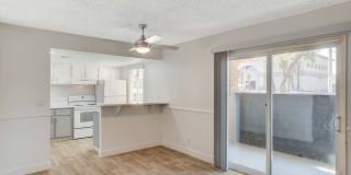 Sundance Village Gallery 65