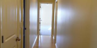 3024 Our Tibbs Trail Gallery 9