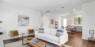 Odyssey Gallery 9