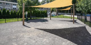 Audubon Pointe Gallery 27