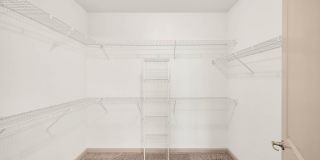 Anatole at Norman Gallery 11