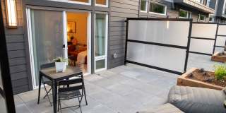 Morado Bothell Gallery 16