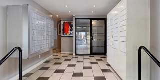 The Palisades Gallery 12