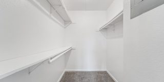 Waters at Westchase Gallery 56