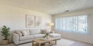 Austin Park Gallery 5