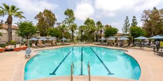 Camino Real Gallery 5