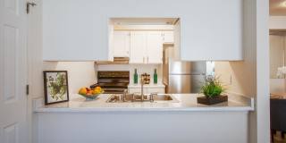 Whispering Sands Gallery 1