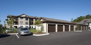 White Palm Gallery 12