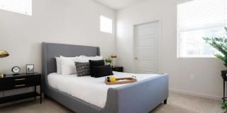 Acero at the Stadium Gallery 22