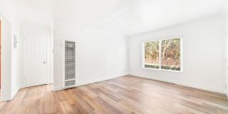 4040 Palmwood Gallery 5