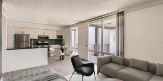 Rise Biltmore Gallery 30