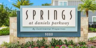 Springs at Daniels Parkway Gallery 113