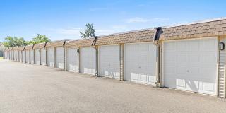 ReNew at the Grove Gallery 11