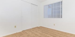 The Palisades Gallery 6