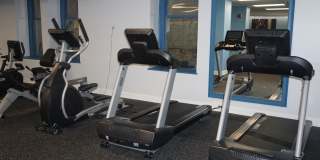 The Peabody Collection Gallery 16