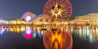 Valentia by Windsor Gallery 38